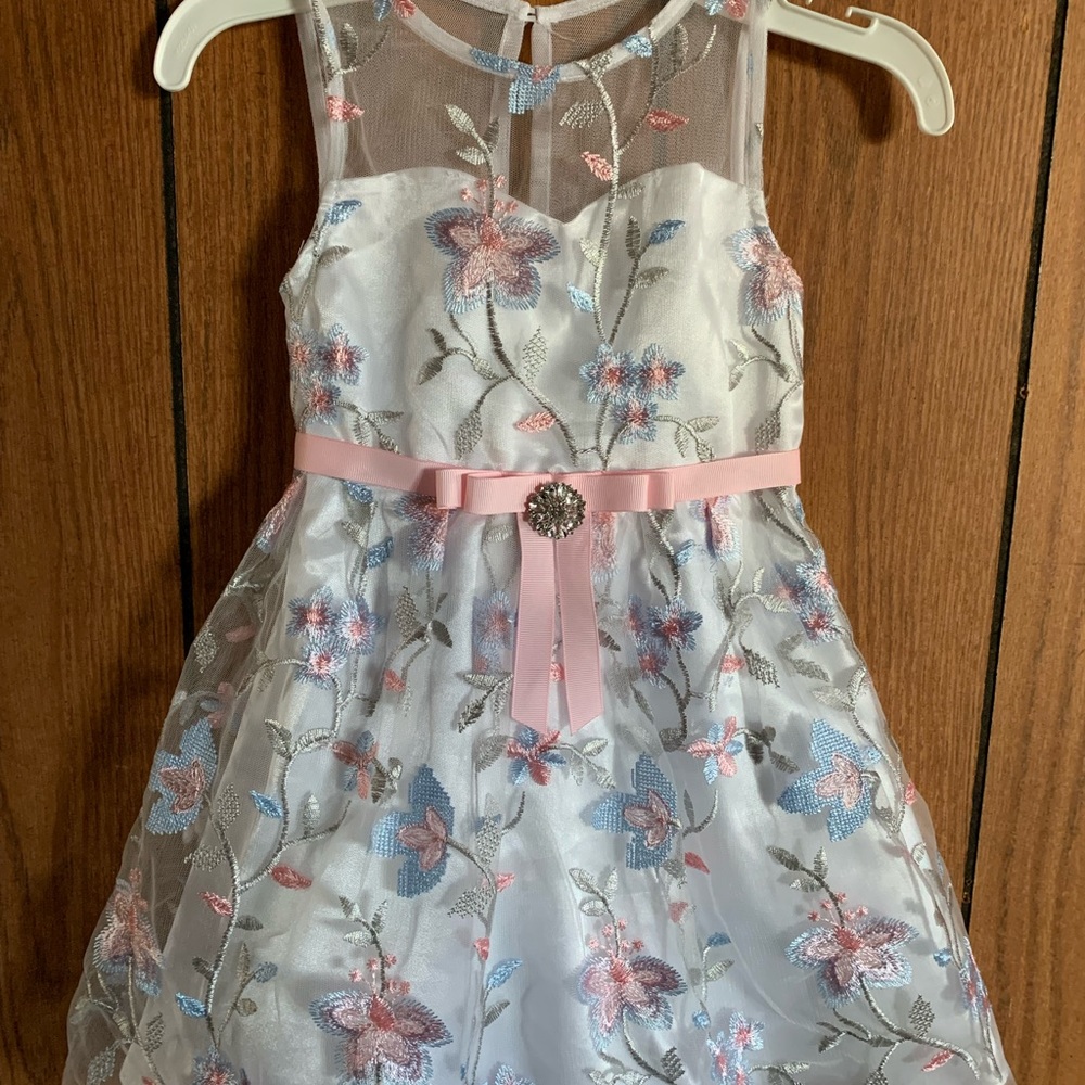 Toddler 4T Rare Editions Embroidered Dress